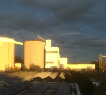 Das Elya Werkstudio in Vechelde
